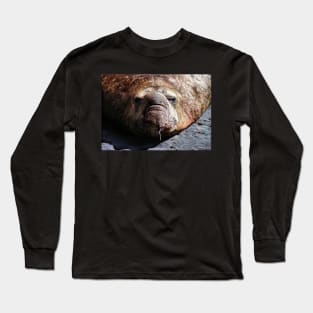 "A Face Only a Mother Could Love." Male Southern Elephant Seal Long Sleeve T-Shirt